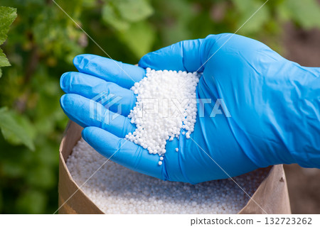 Fertilizer in hand against bushes in the garden. Fertilizing plants concept 132723262