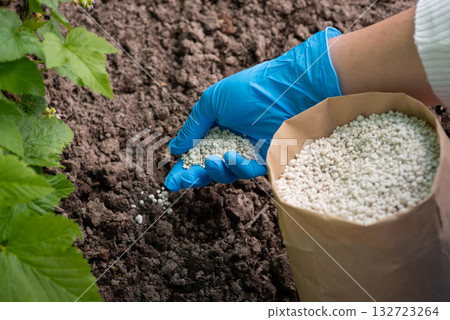 Gardener fertilizing plants with NPK fertilizer. Nourishing garden in Spring concept 132723264