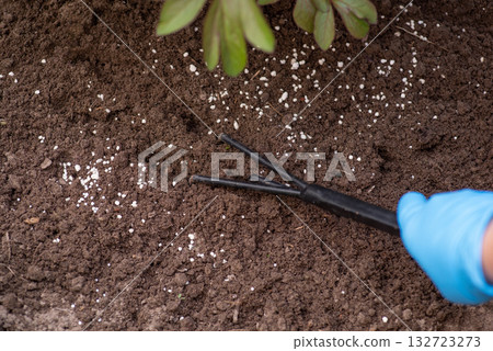 Mixing soil with granulated fertilizer in organic garden for better growing of plants. Fertilising plants in Spring Mixing soil with granulated fertilizer in organic garden for better growing of plants. Fertilising plants in Spring 132723273