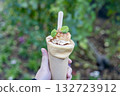 Coffee crepe in hand - sweets that stand out against a green background 132723912