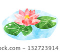 Watercolor illustration of pink water lilies Watercolor illustration of pink water lilies 132723914