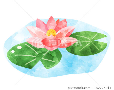Watercolor illustration of pink water lilies Watercolor illustration of pink water lilies 132723914