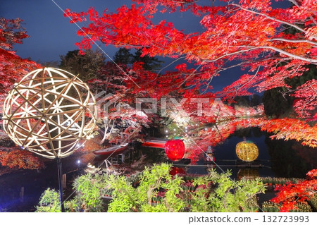 秋葉被點燃了 132723993