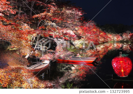 Autumn leaves lighted up Autumn leaves lighted up 132723995