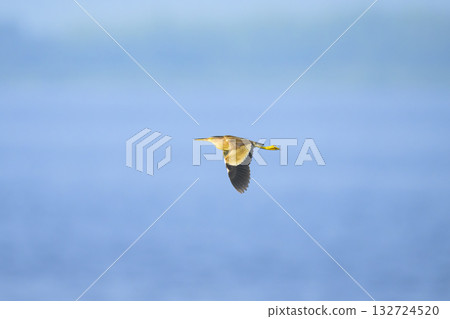 Yoshigoi的飛行 Yoshigoi的飛行 132724520