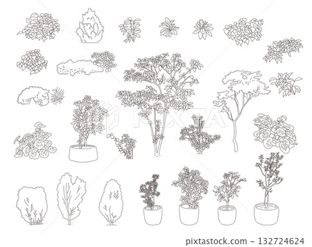 室外及花園植物插圖 室外及花園植物插圖 132724624