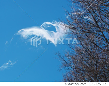 岩岳雪原山頂出現零星雲朵。 岩岳雪原山頂出現零星雲朵。 132725114