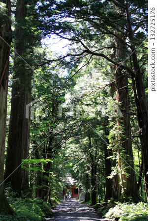 Togakushi Shrine Okusha Togakushi Shrine Okusha 132725176