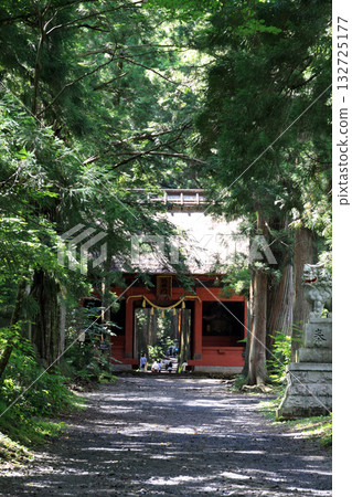 Togakushi Shrine Okusha 132725177
