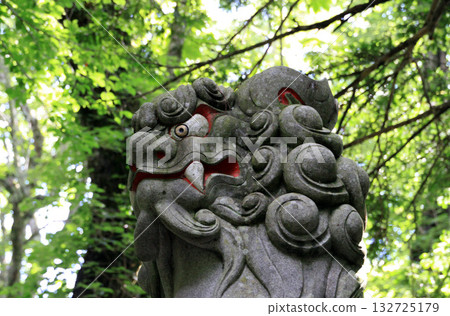 Togakushi Shrine Okusha 132725179