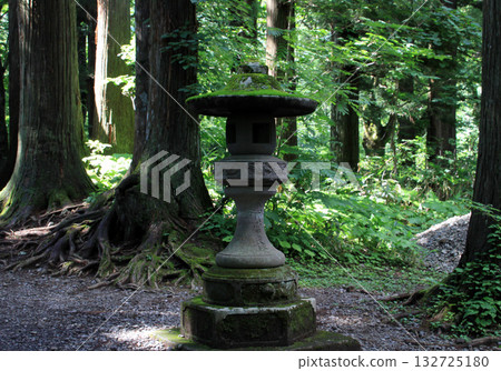 Togakushi Shrine Okusha Togakushi Shrine Okusha 132725180