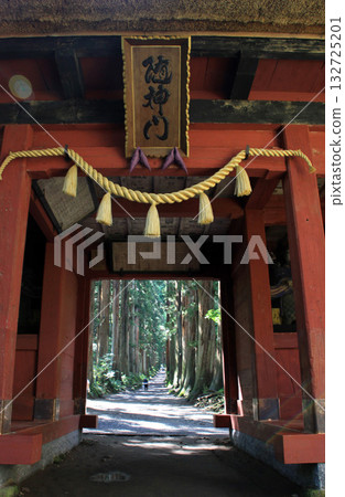 Togakushi Shrine Okusha 132725201
