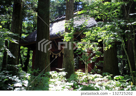 Togakushi Shrine Okusha Togakushi Shrine Okusha 132725202