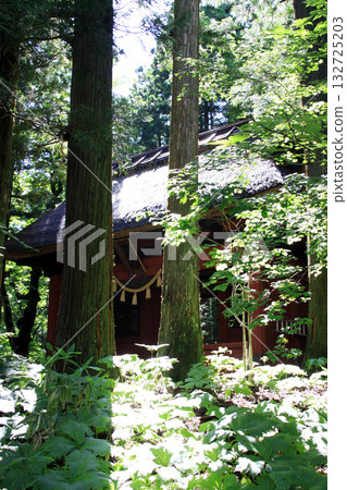 Togakushi Shrine Okusha 132725203