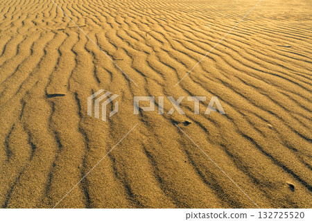 靜岡縣中田島沙丘 - 日落景色 132725520