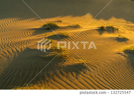 <<Shizuoka Prefecture>> Nakatajima Sand Dunes - Sunset Scenery <<Shizuoka Prefecture>> Nakatajima Sand Dunes - Sunset Scenery 132725547