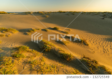 <<Shizuoka Prefecture>> Nakatajima Sand Dunes - Sunset Scenery <<Shizuoka Prefecture>> Nakatajima Sand Dunes - Sunset Scenery 132725549