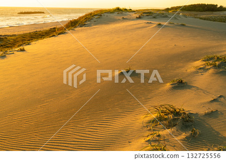 <<Shizuoka Prefecture>> Nakatajima Sand Dunes - Sunset Scenery <<Shizuoka Prefecture>> Nakatajima Sand Dunes - Sunset Scenery 132725556