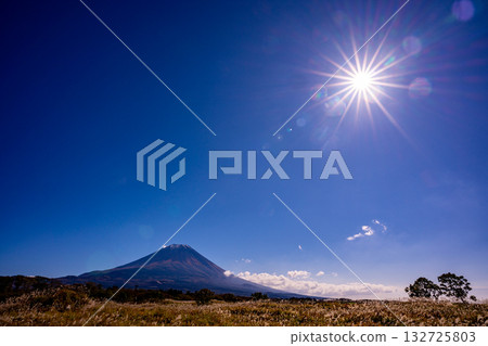 【靜岡縣】朝霧高原的潘帕斯草原和富士山 132725803