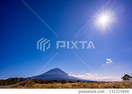 [Shizuoka Prefecture] Asagiri Plateau's pampas grass fields and Mount Fuji 132725804