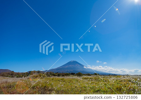 [Shizuoka Prefecture] Asagiri Plateau's pampas grass fields and Mount Fuji 132725806