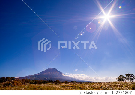 [Shizuoka Prefecture] Asagiri Plateau's pampas grass fields and Mount Fuji 132725807