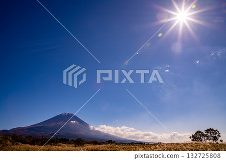 【靜岡縣】朝霧高原的潘帕斯草原和富士山 132725808