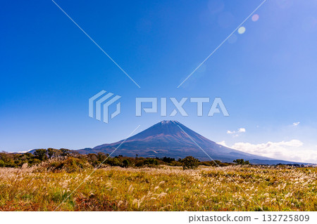 [Shizuoka Prefecture] Asagiri Plateau's pampas grass fields and Mount Fuji 132725809