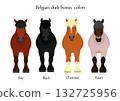 Parallel horse, front Parallel horse, front 132725956