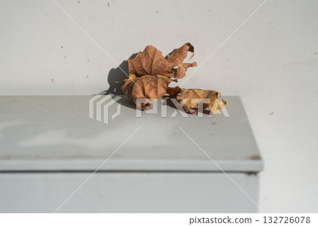 Withered yellow leaves fallen on the gray table Withered yellow leaves fallen on the gray table 132726078
