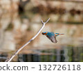 Flying kingfisher Flying kingfisher 132726118