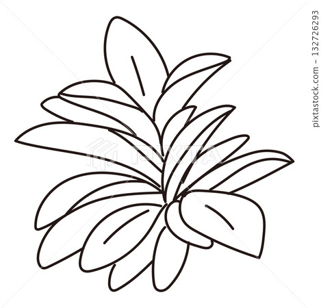 Illustrations of exterior and garden plantings Illustrations of exterior and garden plantings 132726293