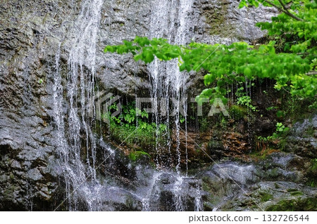 Seikan Otaki 132726544