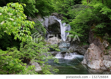 Seikan Otaki Seikan Otaki 132726664