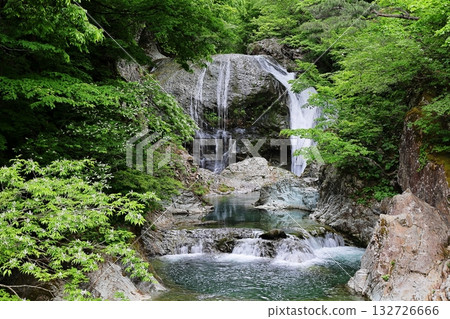 Seikan Otaki 132726666