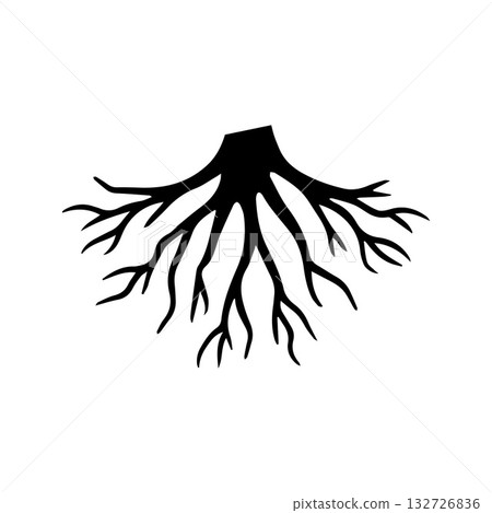 Aggressive pointed root symbolizing fierce natural survival and power Aggressive pointed root symbolizing fierce natural survival and power 132726836
