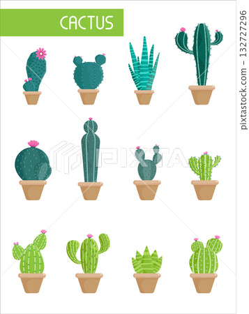 Cactus, Desert spiny plant, tropical home plants in flower pot, flat style for decoration, background. vector illustration 132727296