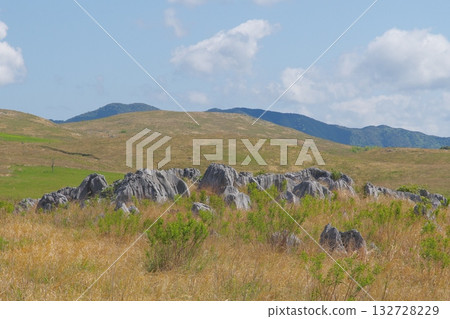 Akiyoshidai with dead grass in the spring of 2025 132728229