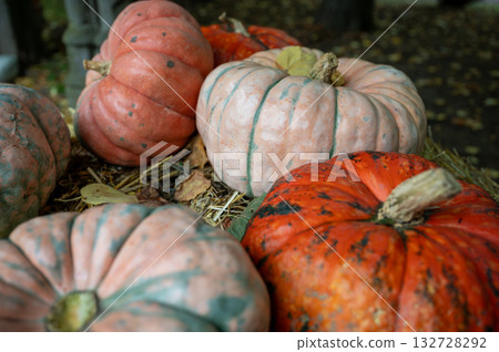 Close-up pile of pumpkins Fresh orange pumpkins stacked tightly, perfect seasonal harvest background for autumn and Halloween. 132728292