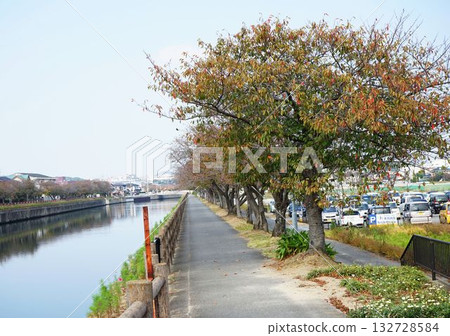 秋日漫步金山川 秋日漫步金山川 132728584