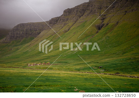 Dramatic Mulafossur waterfall plunging into the ocean with Gasadalur village and cliffs in the background. Dramatic Mulafossur waterfall plunging into the ocean with Gasadalur village and cliffs in the background. 132728650