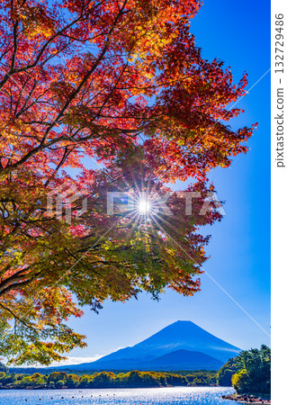 【山梨縣】莊司湖周圍秋葉飄落,富士山迎來了初雪。 【山梨縣】莊司湖周圍秋葉飄落,富士山迎來了初雪。 132729486