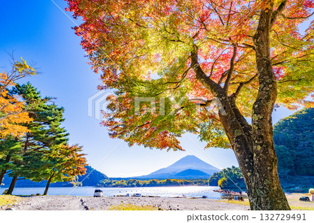 【山梨縣】莊司湖周圍秋葉飄落,富士山迎來了初雪。 【山梨縣】莊司湖周圍秋葉飄落,富士山迎來了初雪。 132729491