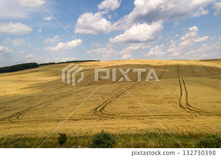 Aerial view of yellow agriculture wheat field ready to be harvested in late summer. Aerial view of yellow agriculture wheat field ready to be harvested in late summer. 132730398
