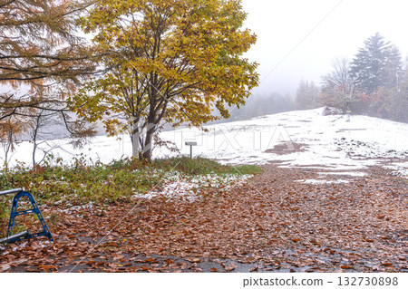 251103乘鞍青年之家z002 251103乘鞍青年之家z002 132730898