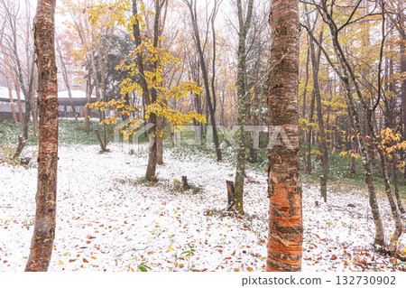 251103 Norikura Youth House z009 251103 Norikura Youth House z009 132730902