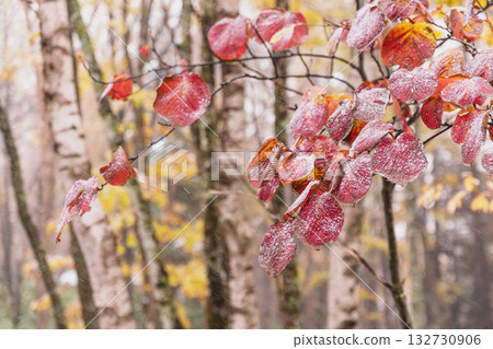 251103乘鞍青少年中心z014 132730906