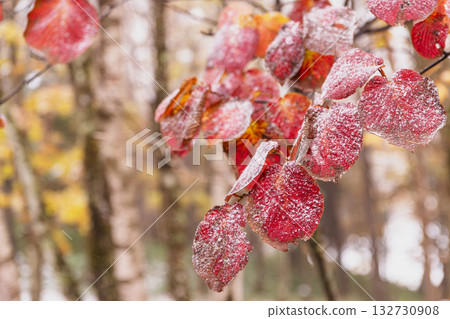 251103 Norikura Youth House z016 132730908