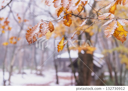 251103 Norikura Youth House z022 132730912