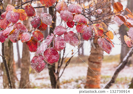 251103 Norikura Youth House z024 132730914